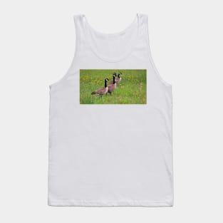 Geese In The Dandelions Tank Top